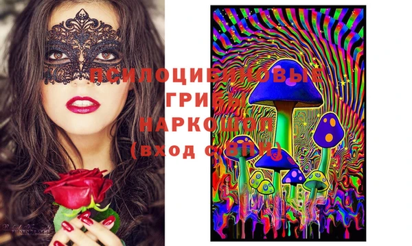 мдпв Вязьма