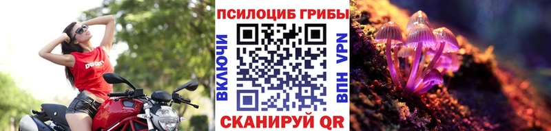 Купить где  Крымск  Галлюциногенные грибы мицелий 